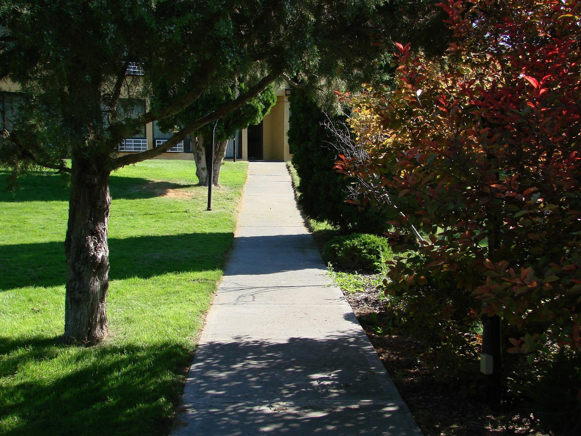Econo Lodge Near Snake River Idaho Falls Eksteriør bilde